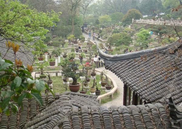 忠王府